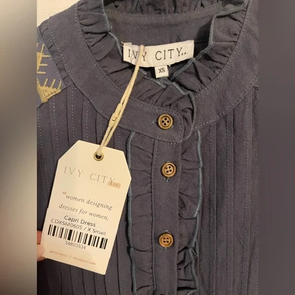 Beautiful embroidered Ivy City Co. dress. Never worn, nwt. - Picture 3 of 8
